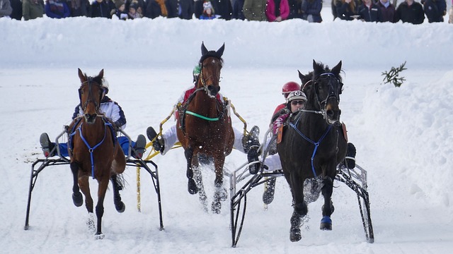 范德法特：C罗训练中总是特别专注，我连他的5%都做不到
